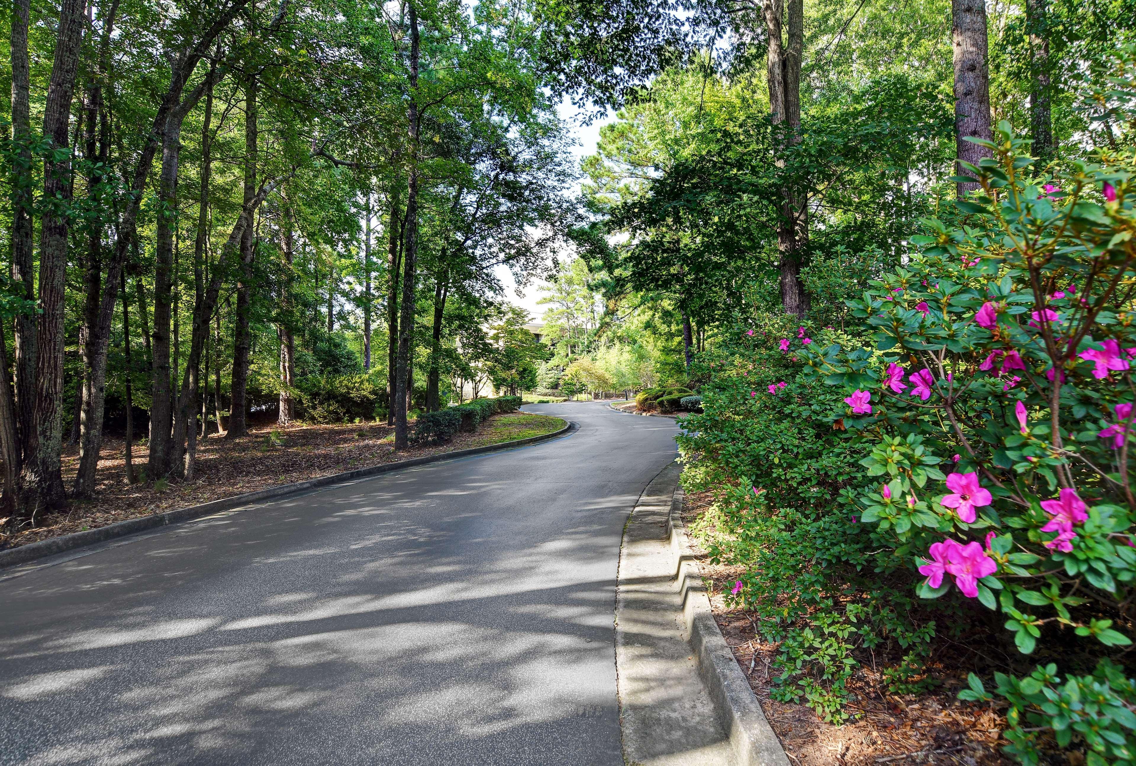 Hilton Peachtree City Atlanta Hotel & Conference Center Екстер'єр фото